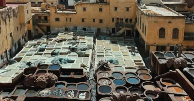 Leather Tanning Methods